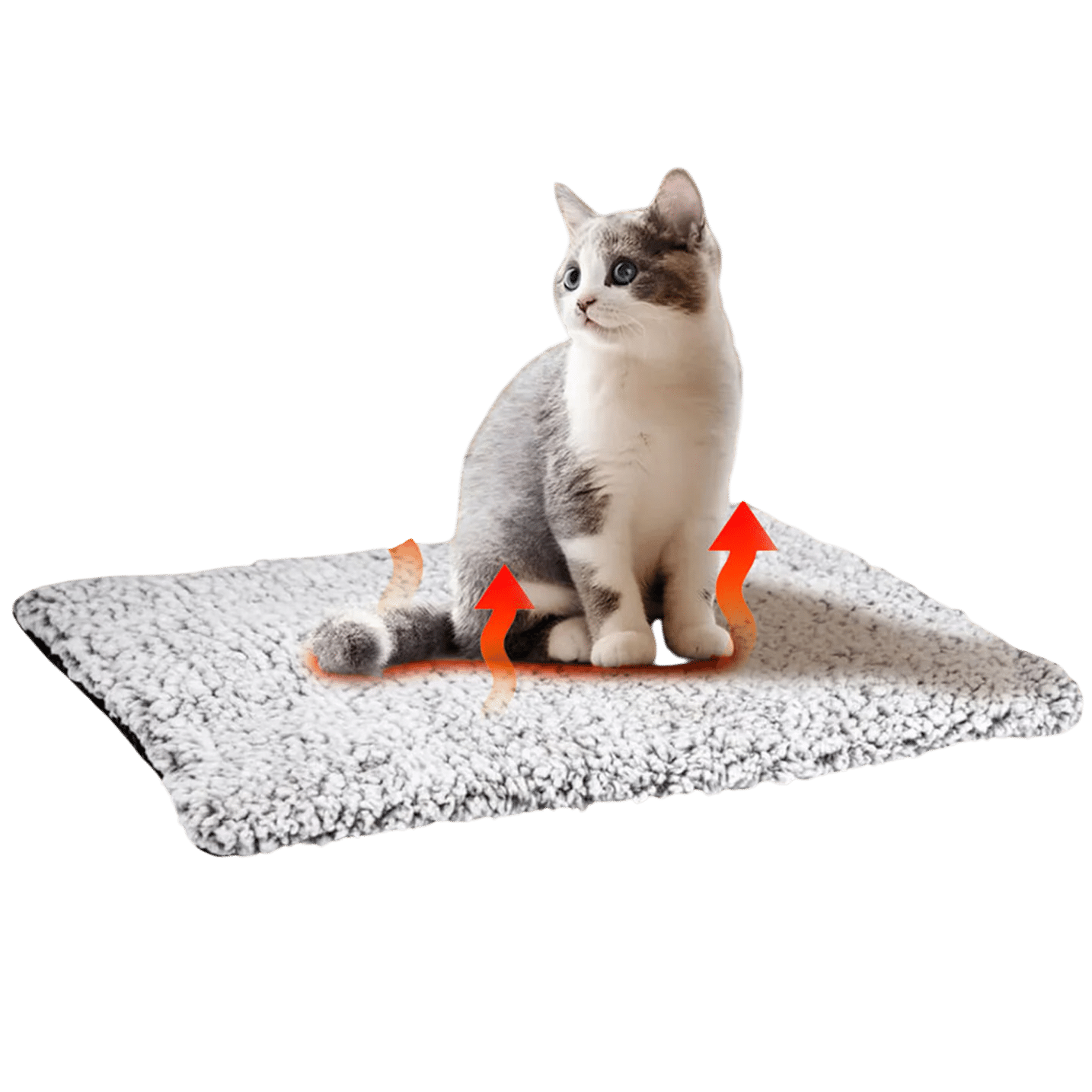 WyldNook — cordless self-warming cat bed