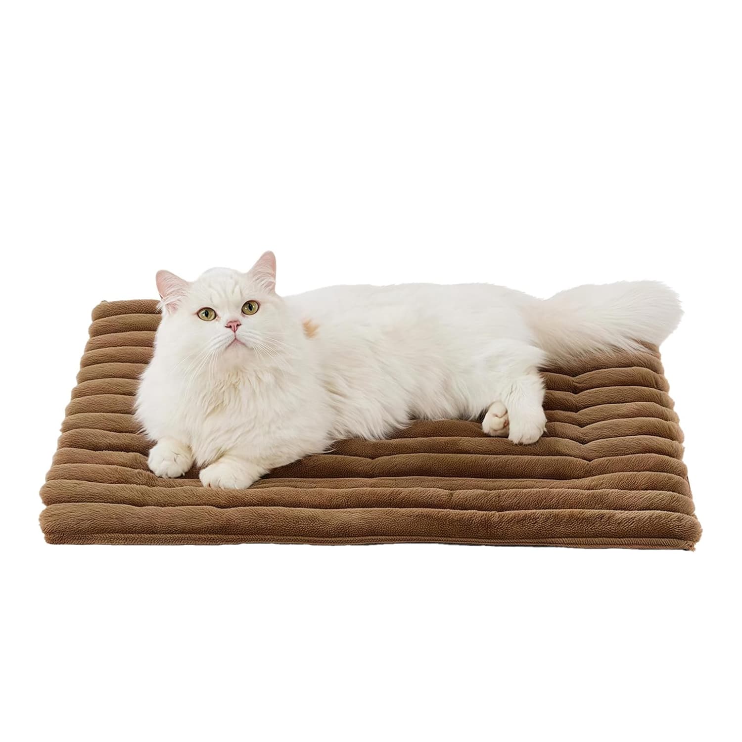 Bestselling Self-Warming Reflective Bed