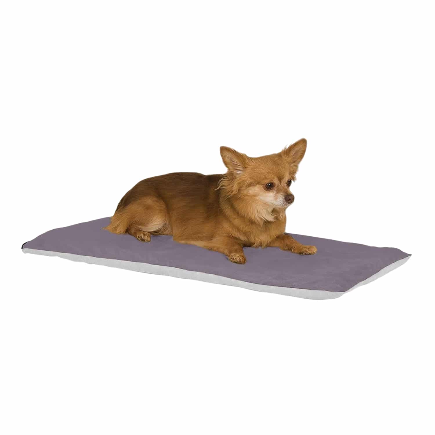 Bestselling Electric Heated Cat Bed